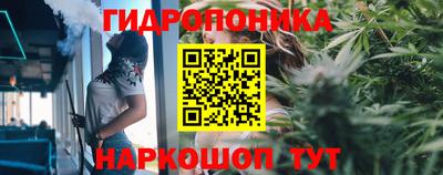 гидропоника Коммунар