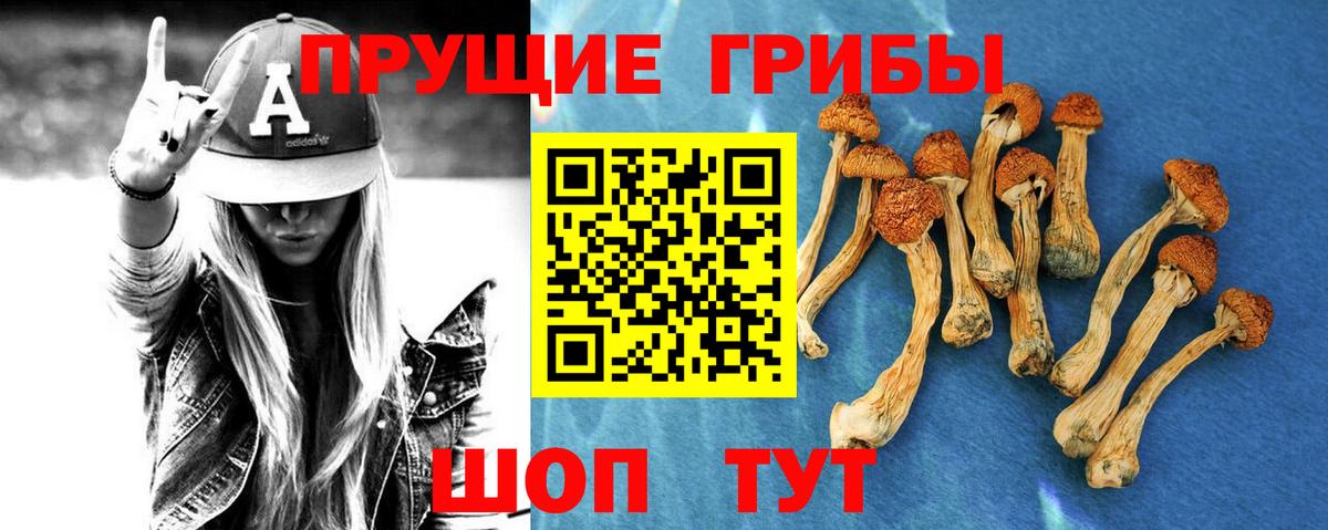 Галлюциногенные грибы прущие грибы Дальнереченск